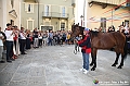 VBS_0628 - Palio di Asti 2024 - Raduno 500 - Corteo Storico - Santa Messa e benedizione del Cavallo e del Fantino